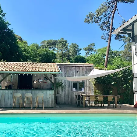Pedro * Pyla-sur-Mer
